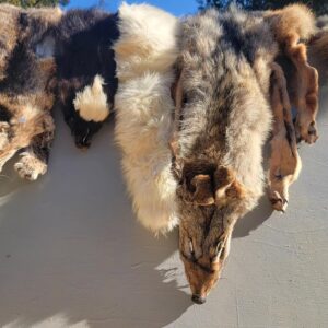 ANIMAL PELTS