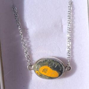 Silver Embedded Bumblebee Jasper Necklace
