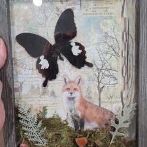 Butterfly Shadow Box — Handmade by Ossaflora Apothecary