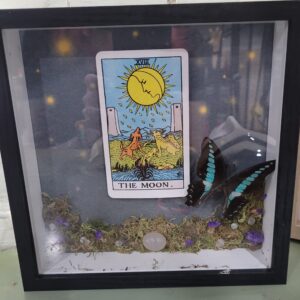 Moon Tarot Real Butterfly Shadow Box – by Ossaflora Apothecary