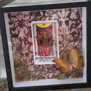 Justice Tarot Real Butterfly Shadow Box – by Ossaflora Apothecary