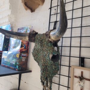 Stone‑Covered Bull Skull — Natural Bone Art Piece
